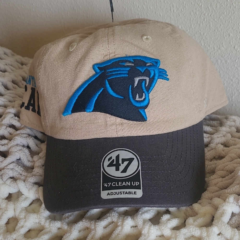 47 Brand CLEAN UP Carolina Panthers Logo Cap.